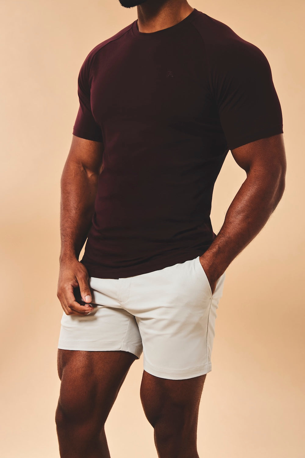 Muscle Fit Stretch Chino Shorts-Shorter Length in Dove Grey