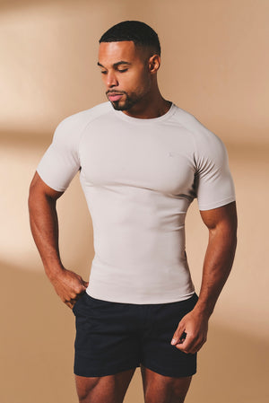 Muscle Fit T-Shirt in Soft Grey
