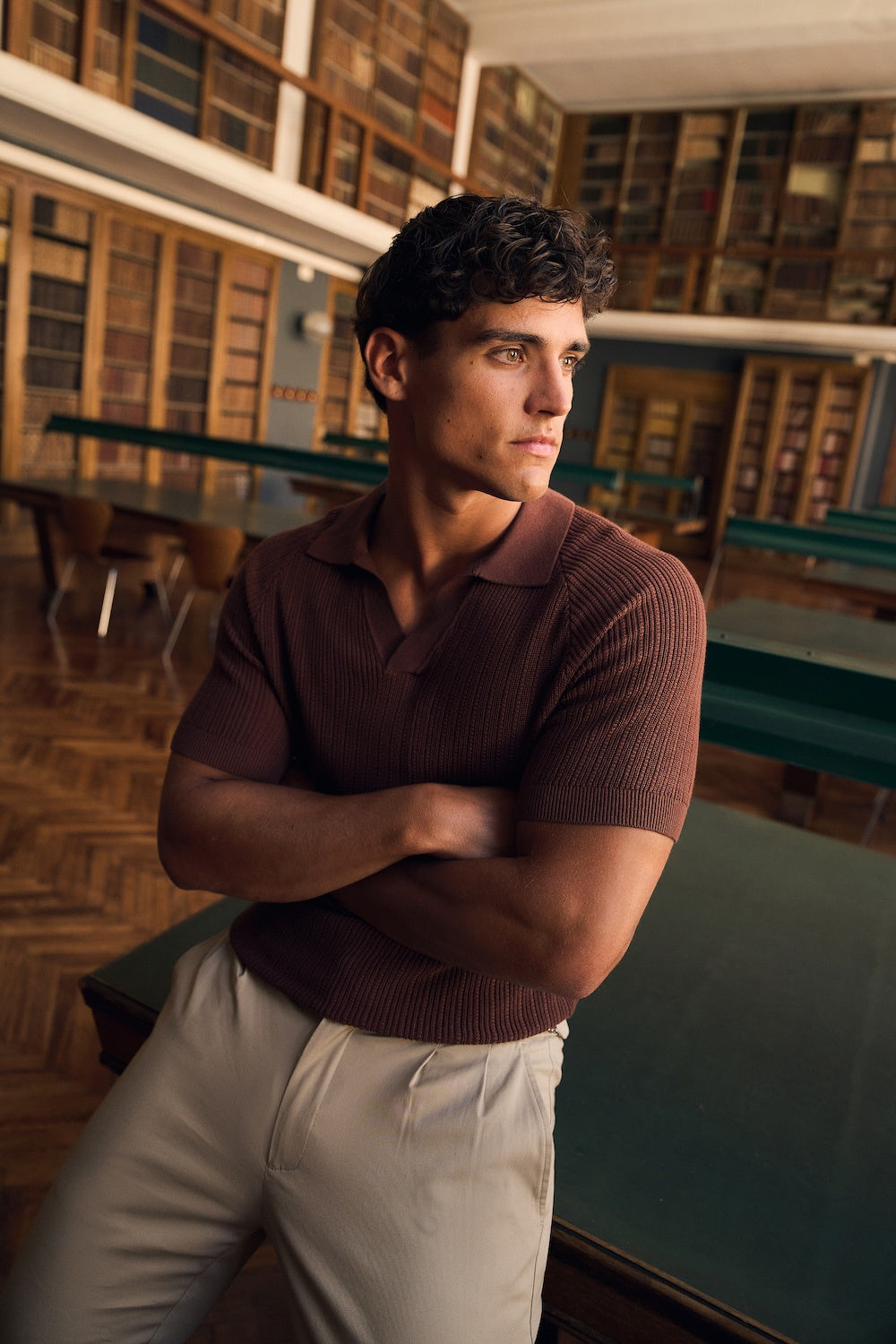 Textured Knitted Open Collar Polo Shirt in Brick