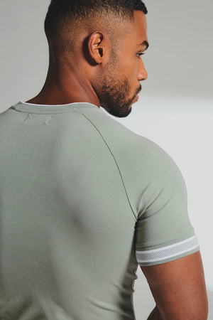 Tipped Fashion Fit T-Shirt in Sage / White