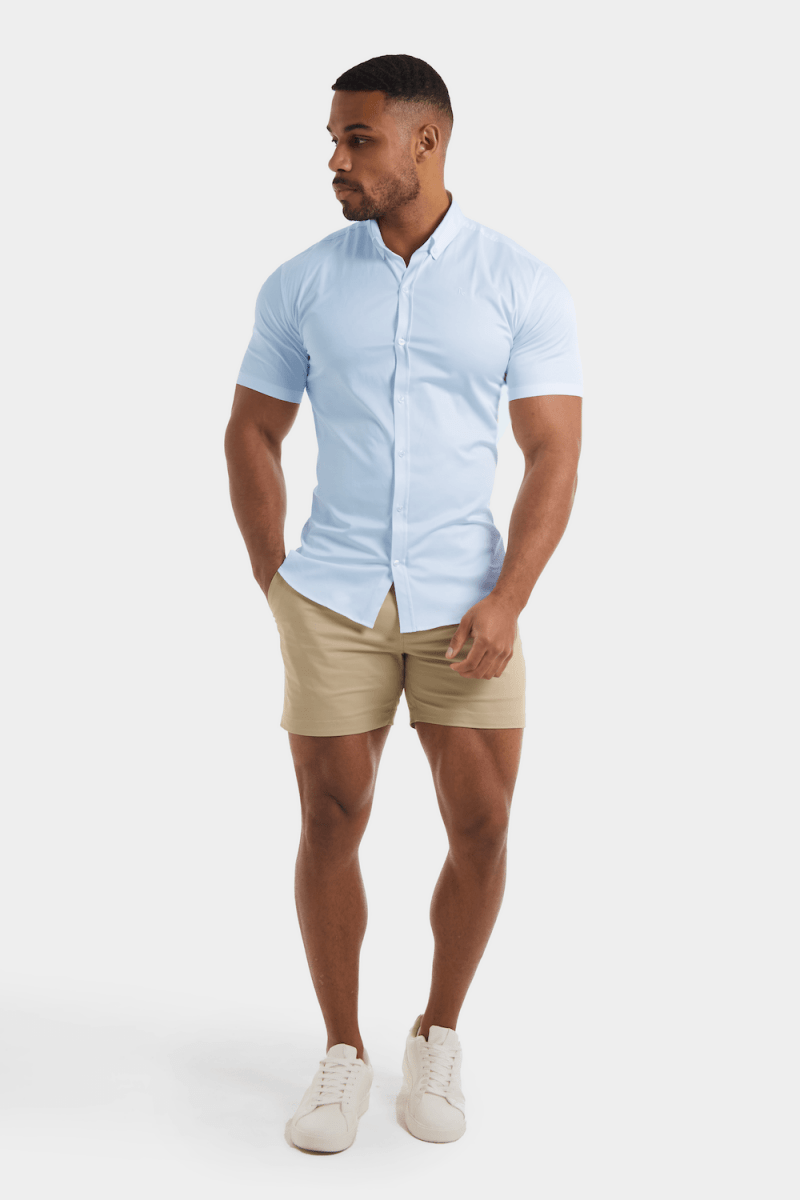 Muscle Fit Short Sleeve Signature Shirt in Blue - TAILORED ATHLETE - ROW